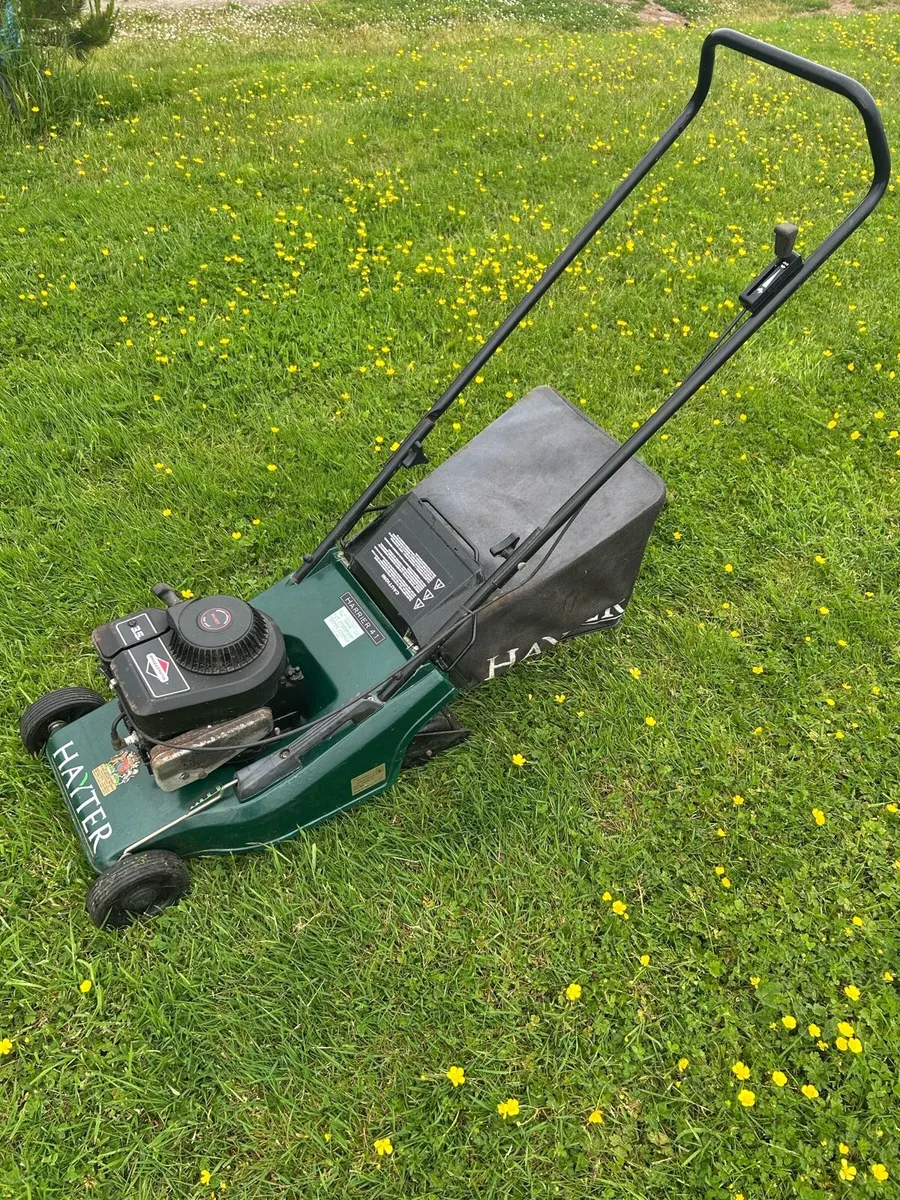 Hayter harrier 41 push lawnmower - Image 2