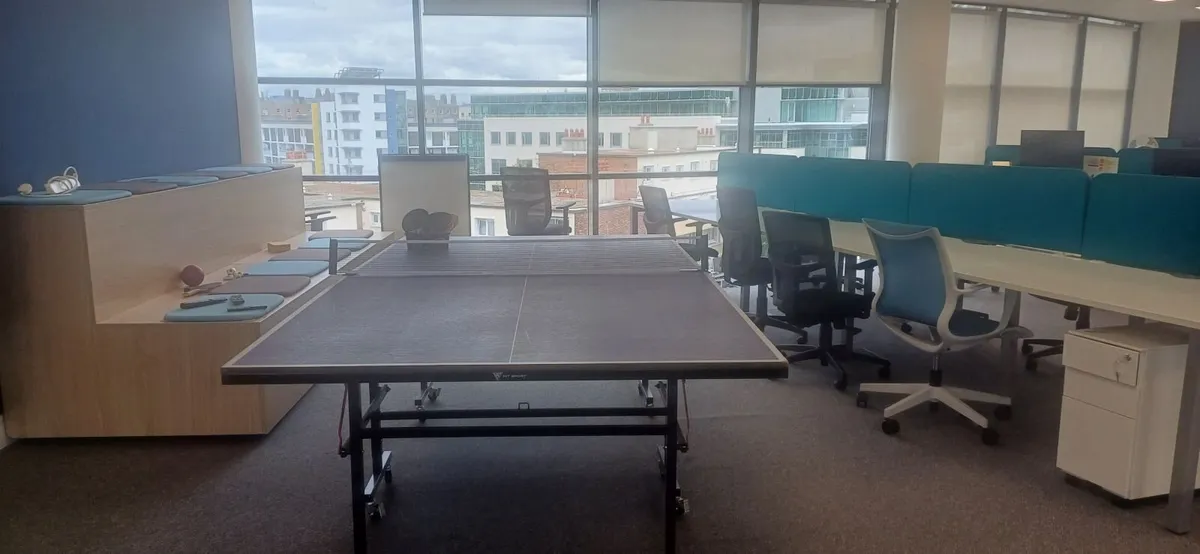 Table Tennis Table 9ft Butterfly Table - Image 2