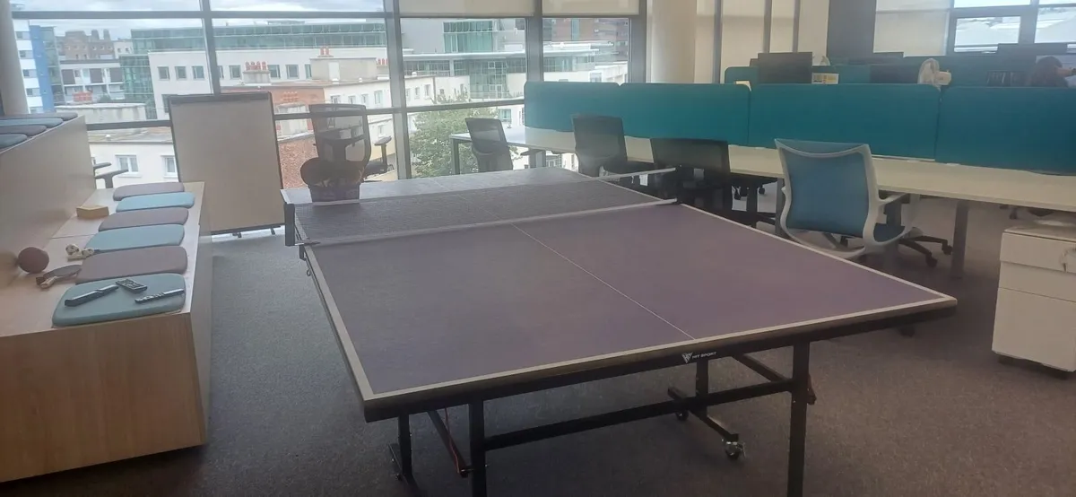 Table Tennis Table 9ft Butterfly Table - Image 3