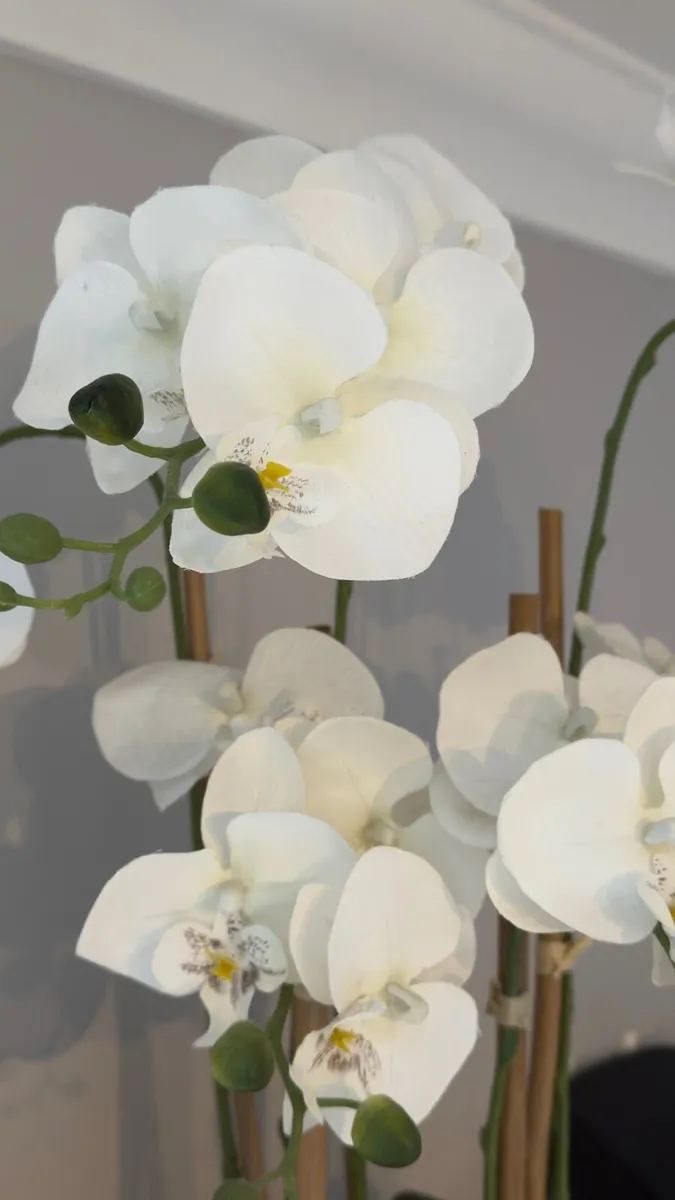 WHITE ARTIFICIAL ORCHID - Image 1