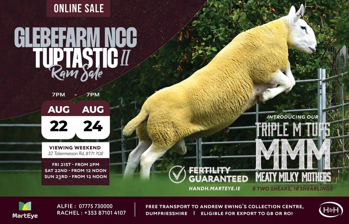 Glebefarm Tuptastic Online Sale - Image 1