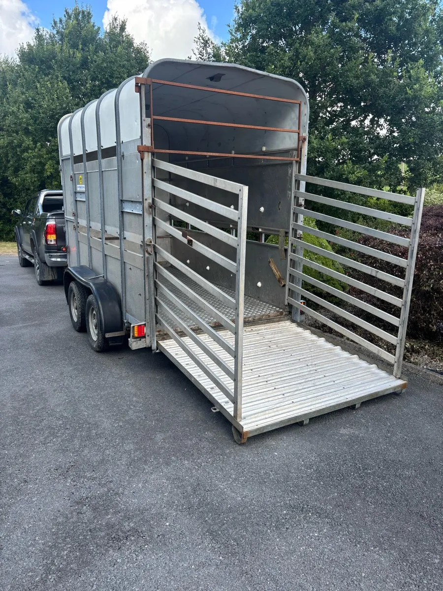 10x5”4x7 Ifor Williams cattle/horse box - Image 2