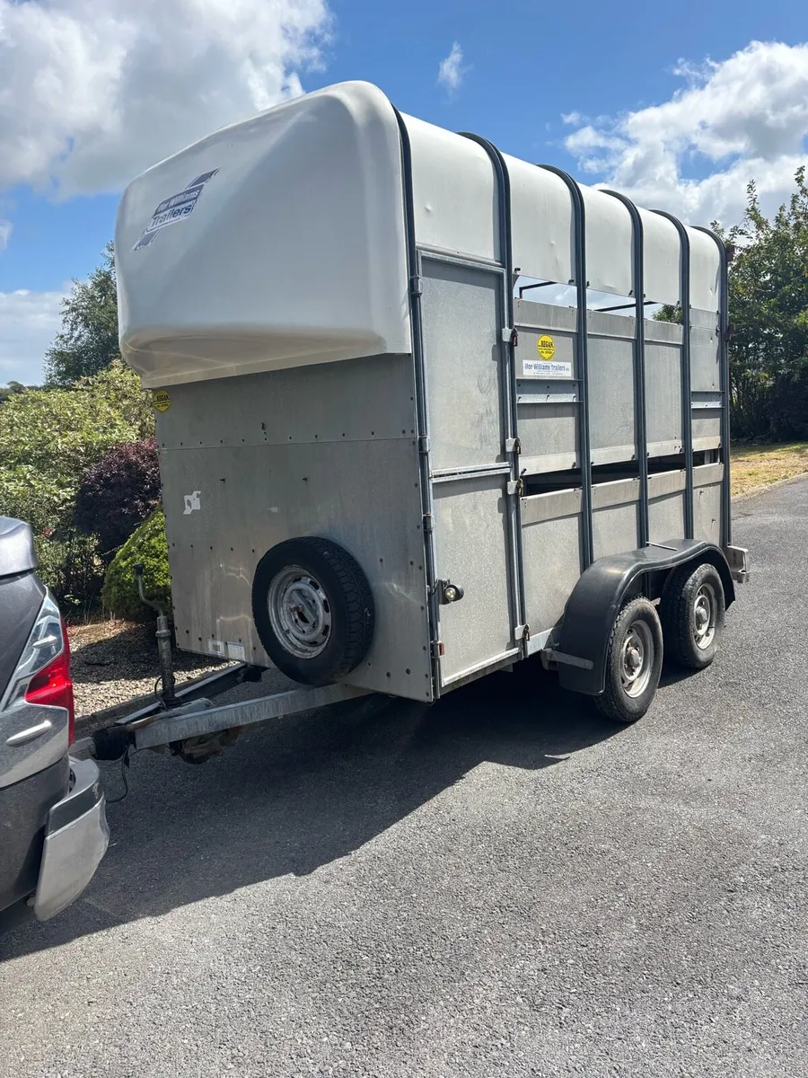 10x5”4x7 Ifor Williams cattle/horse box - Image 1
