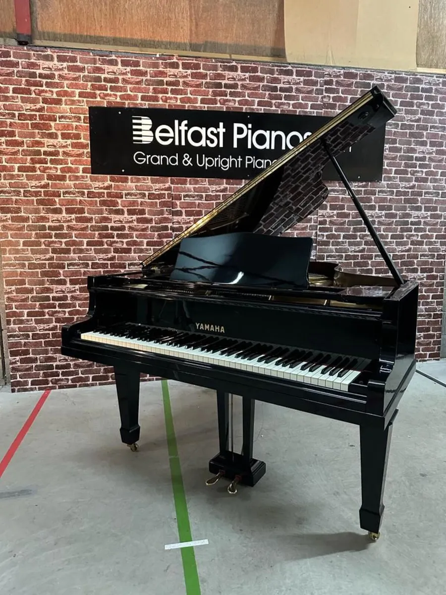 Yamaha No.20 Grand Piano | Polyester Ebony Finish - Image 1