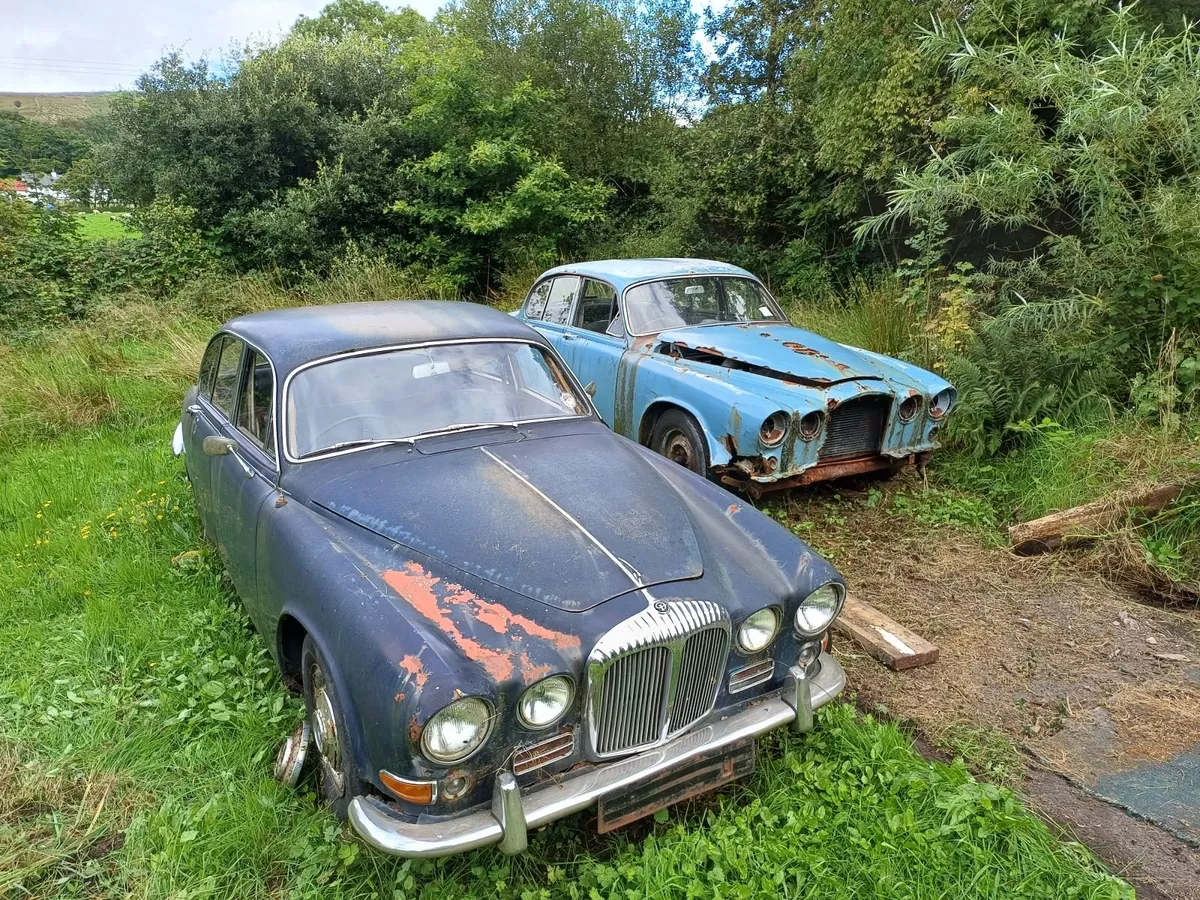Daimler 420 Sovereigns - Image 2