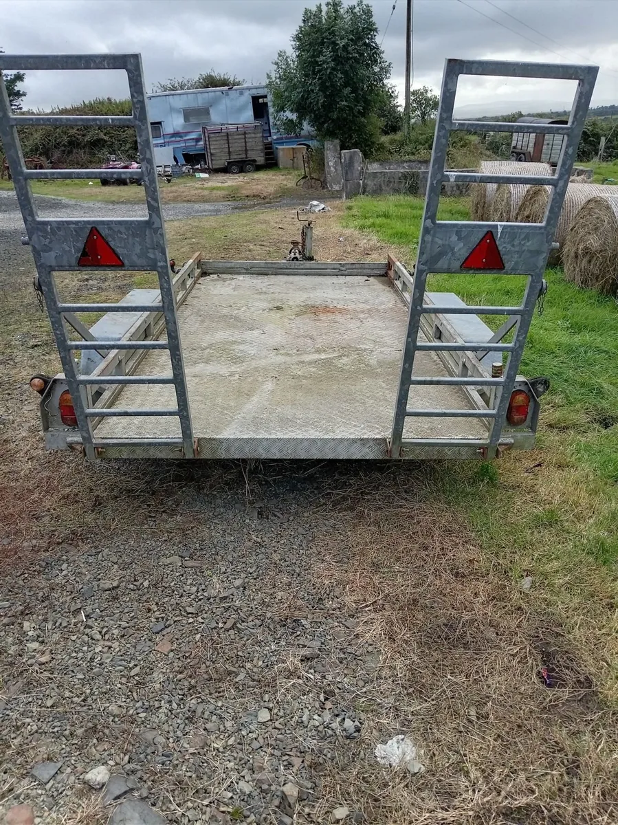 Plant trailer car transporter 12x6 - Image 3