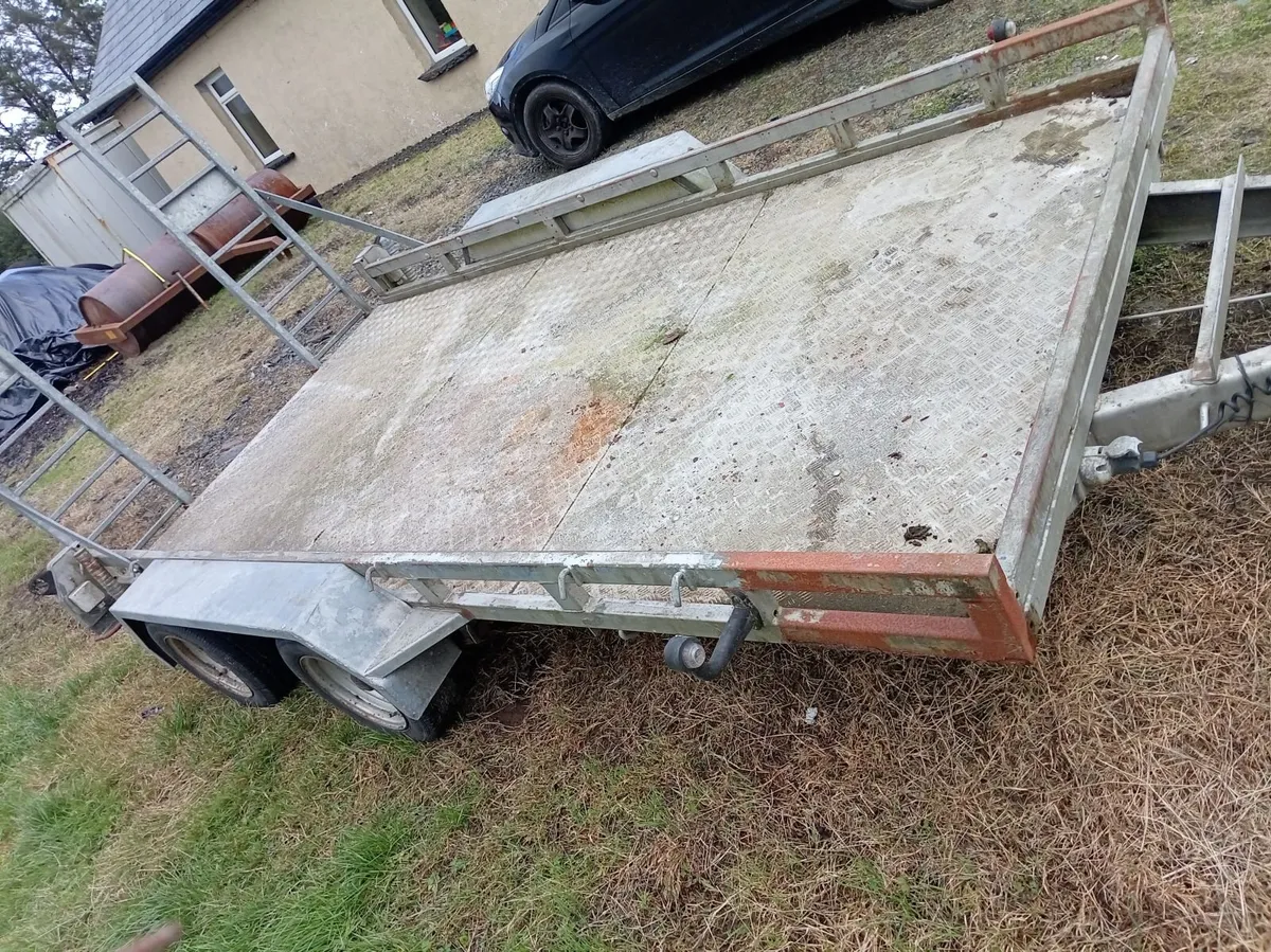 Plant trailer car transporter 12x6 - Image 4