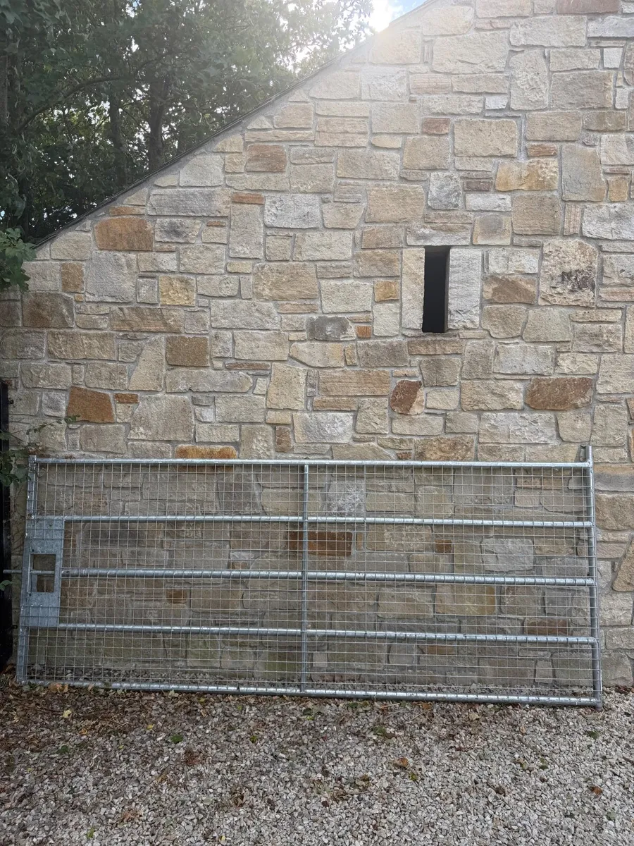 Gibney HG1 Galvanised Mesh Gate 10ft - Image 1
