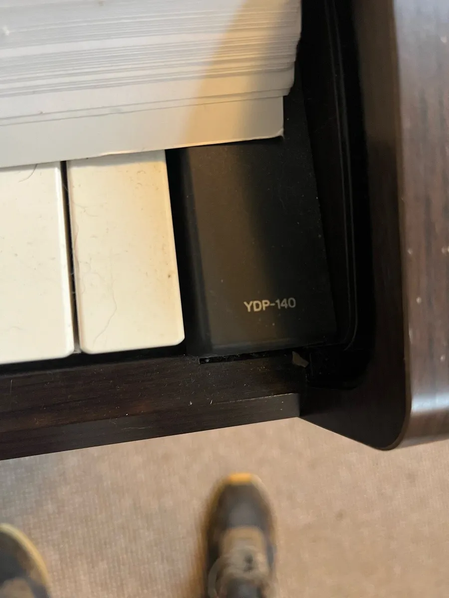 Yamaha Arius - Image 2