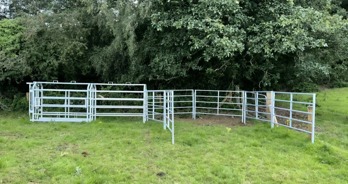 Mobile Cattle Crush - Image 3