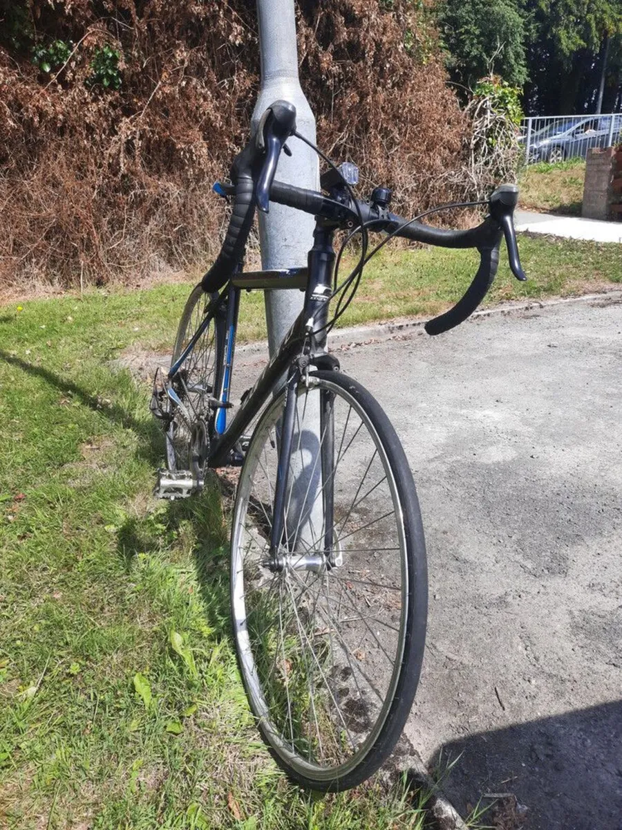 Carrera Zelos LTD 14-Speed Road Bike - Image 3