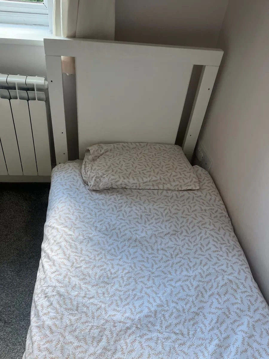 Cot/toddler bed - Image 1