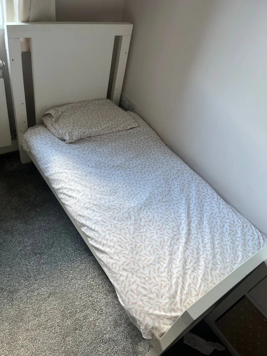 Cot/toddler bed - Image 2