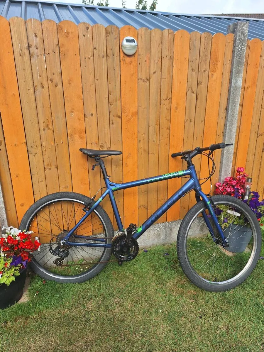 Mountain bike - Image 1