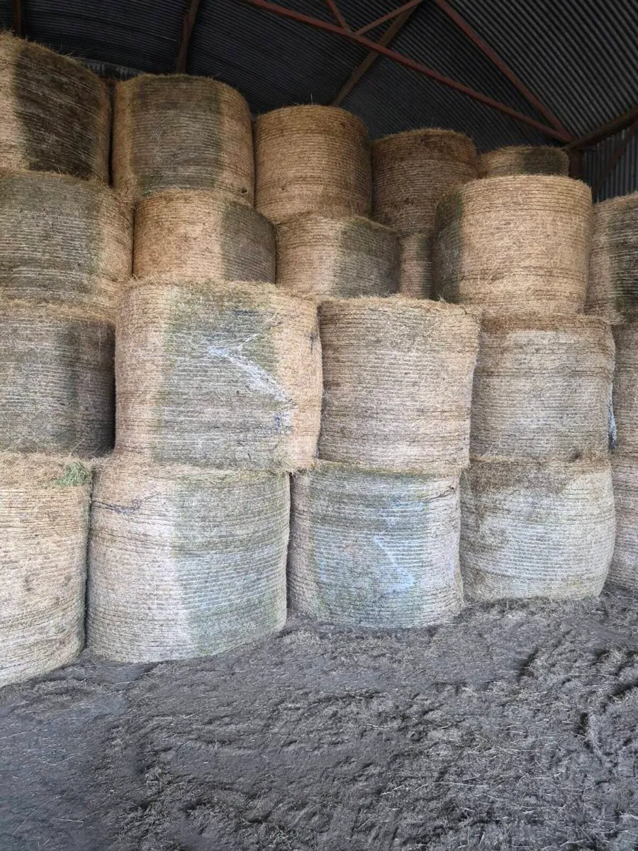Organic hay for sale. - Image 1