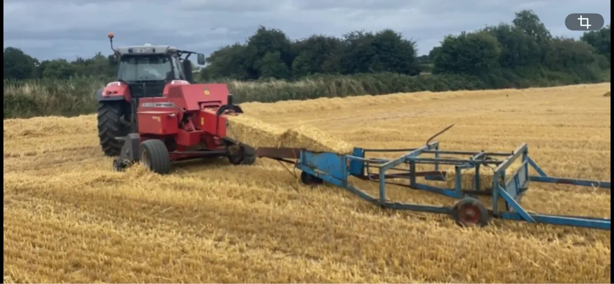 Square Barley Straw - Image 1