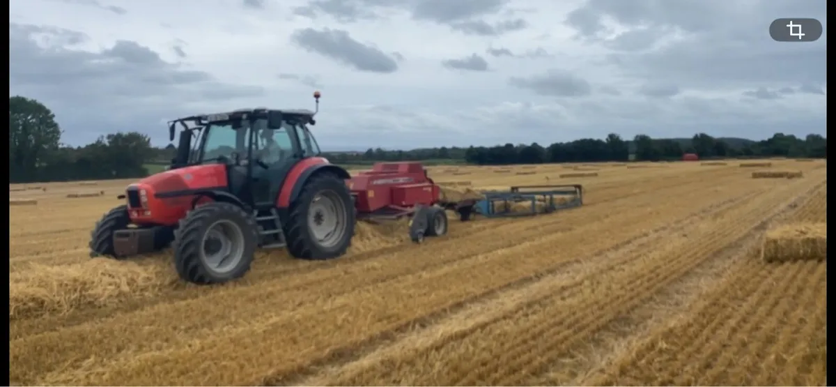 Square Barley Straw - Image 2