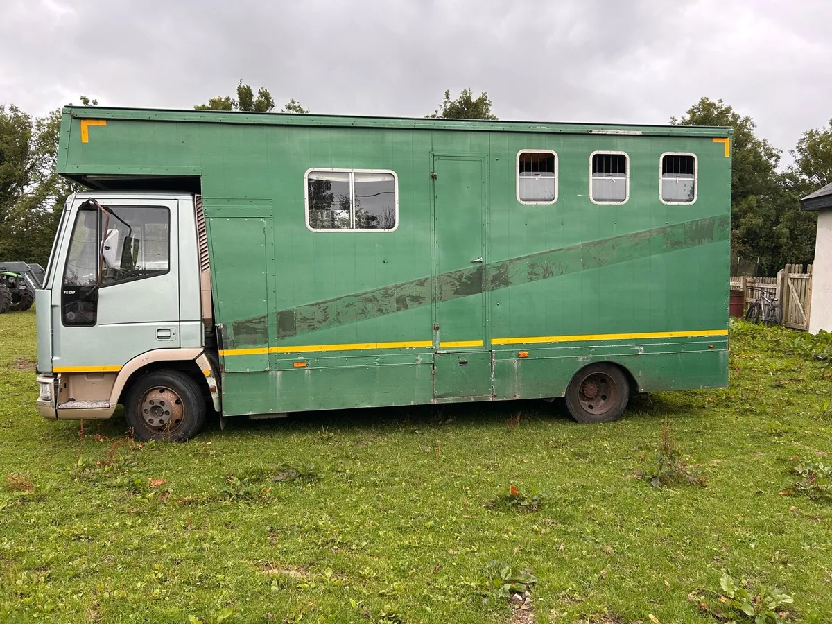 2002 ford iveco 7.5 ton horse truck - Image 3