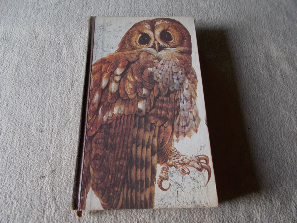 Book of British Birds - Image 1