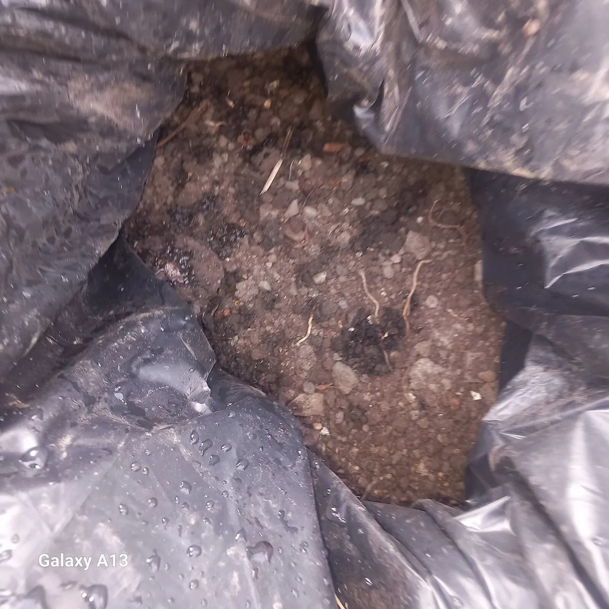 Free to take away,top rate top soil - Image 4