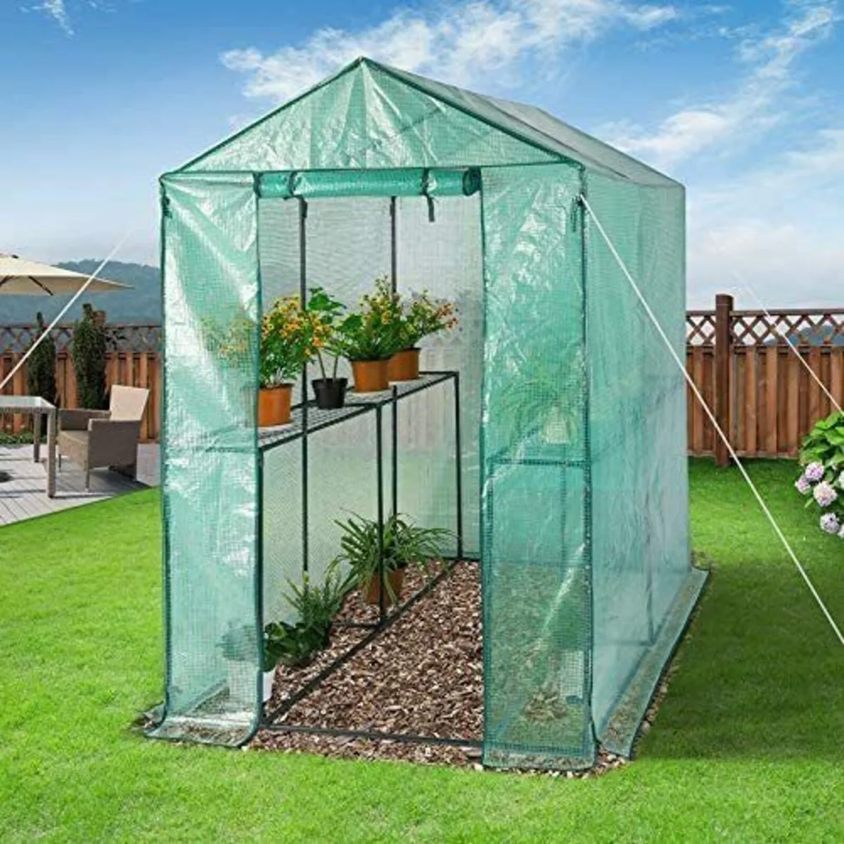 Durable Outdoor Greenhouse for Tomato Plants - Image 2