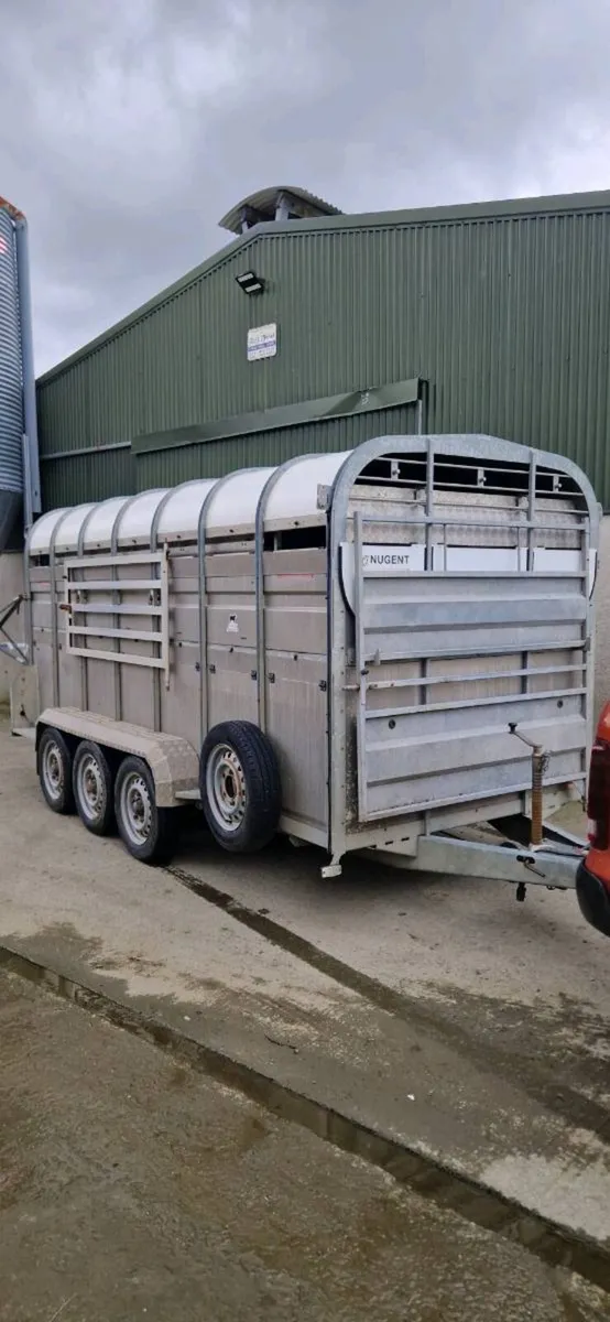 14ft Nugent Tri Axel Livestock Trailer - Image 1