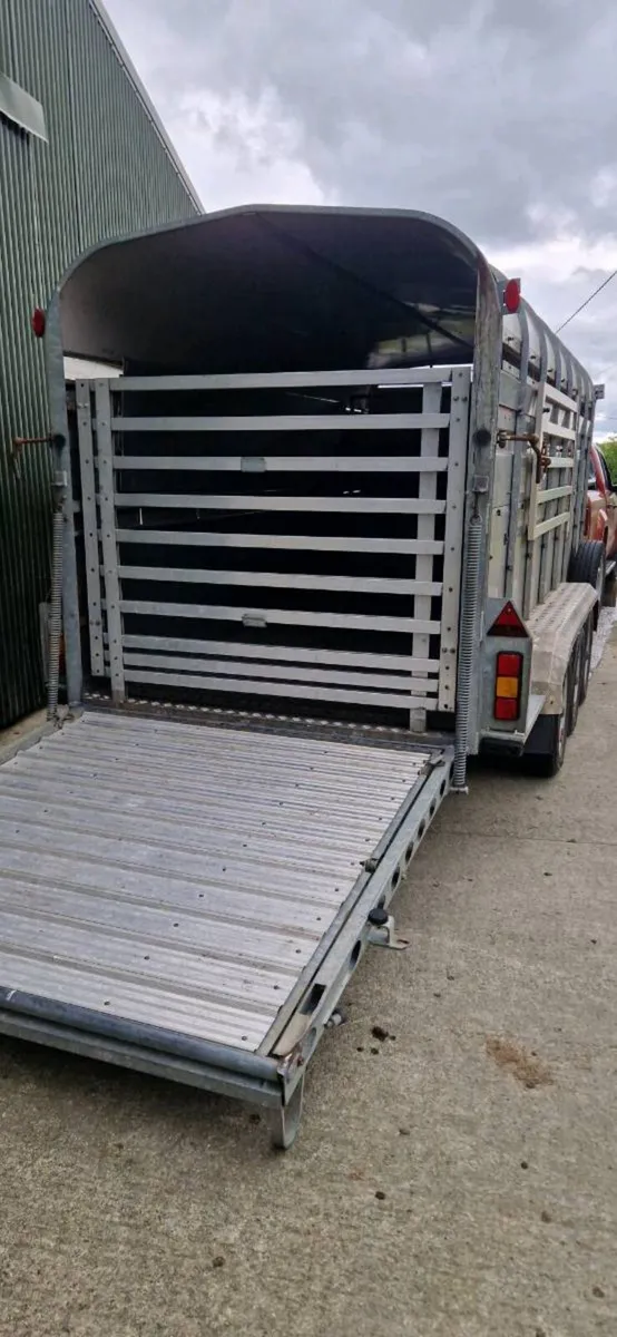 14ft Nugent Tri Axel Livestock Trailer - Image 2