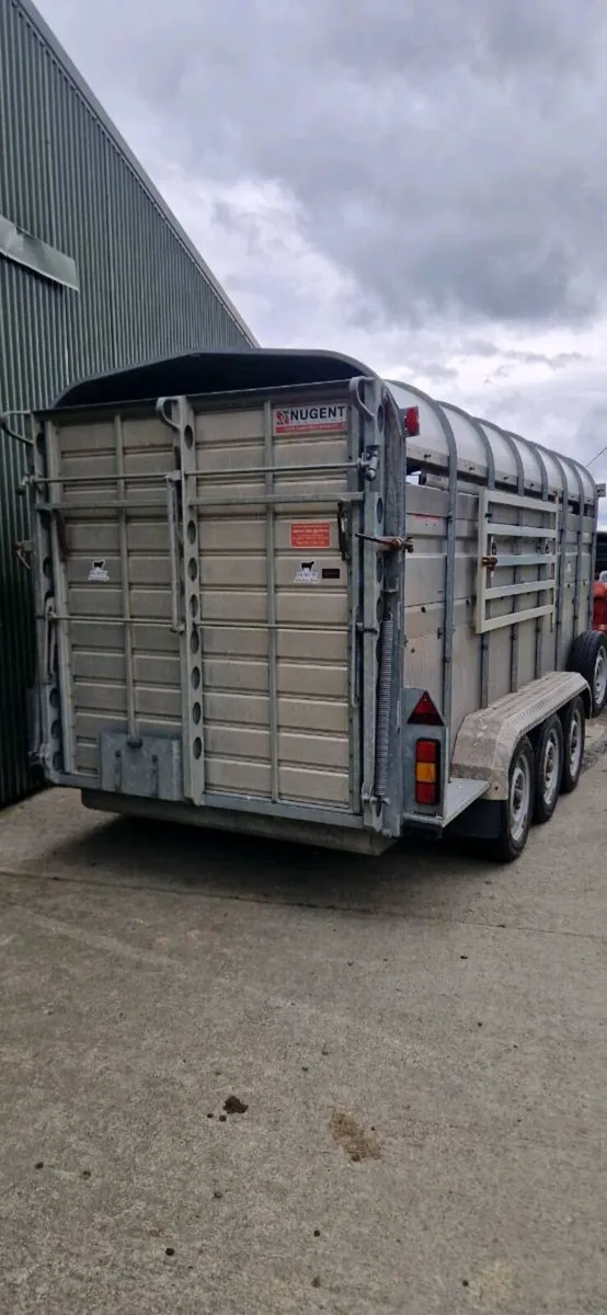 14ft Nugent Tri Axel Livestock Trailer - Image 4