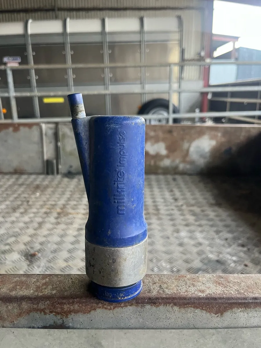 Milkrite interpulse triangle shells