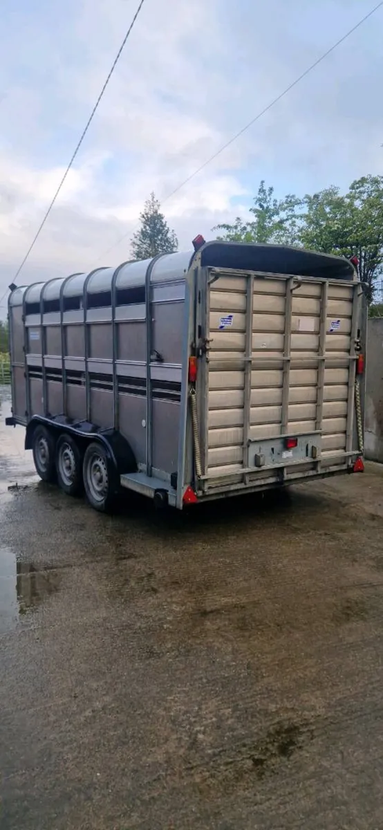 14ft Ifor williams Livestock Trailer - Image 3