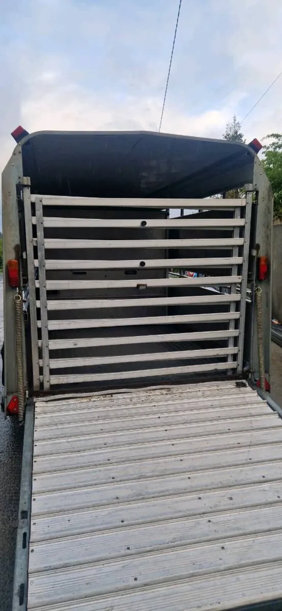 14ft Ifor williams Livestock Trailer - Image 2