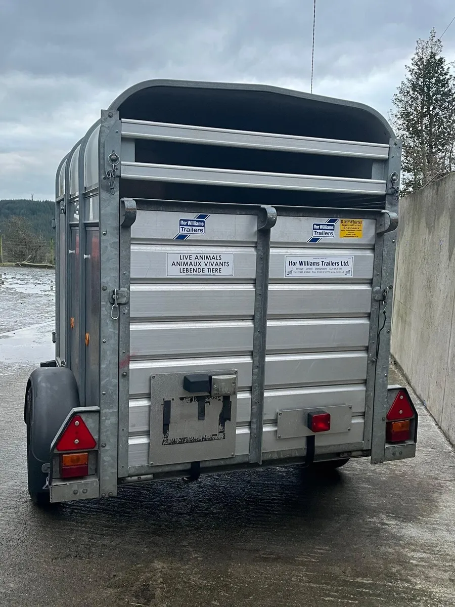 P6g Sheep/Calf Trailer - Image 2