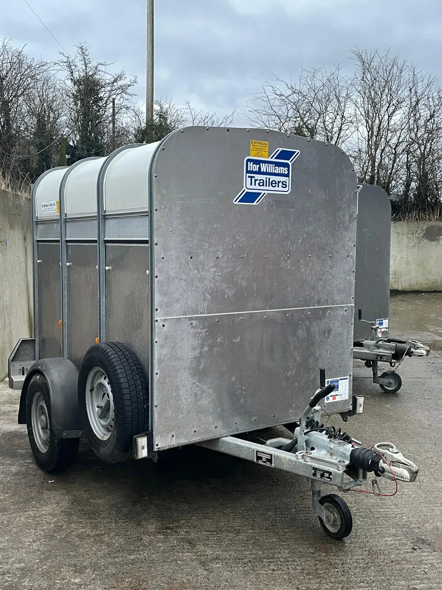 P6g Sheep/Calf Trailer - Image 1