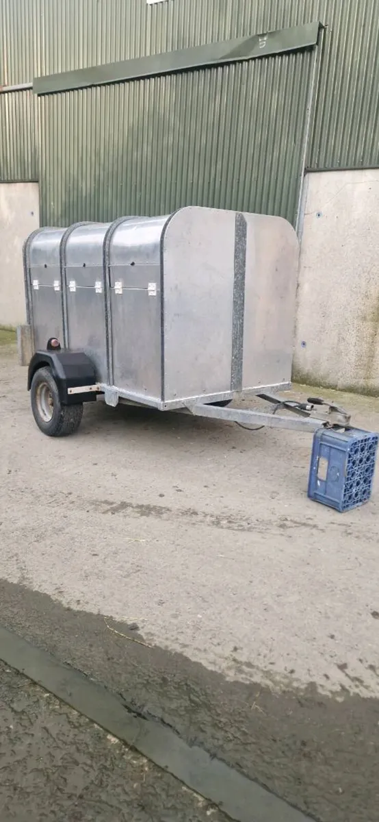 6X4 Sheep/Calf Trailer - Image 1