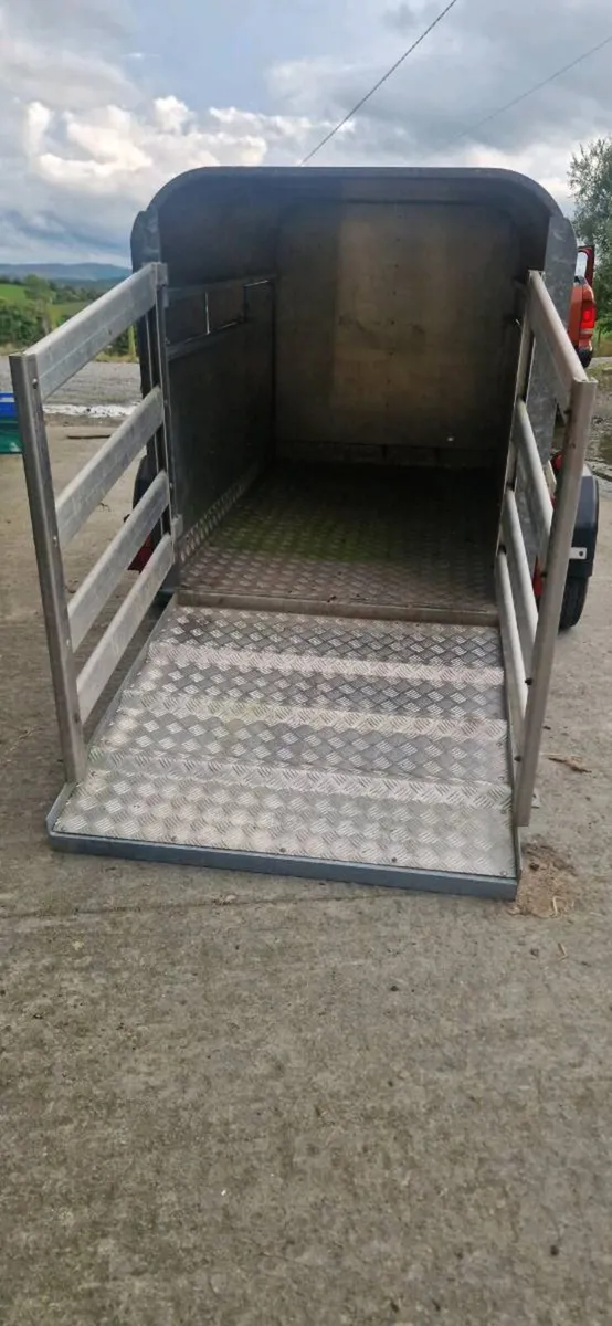 6X4 Sheep/Calf Trailer - Image 3