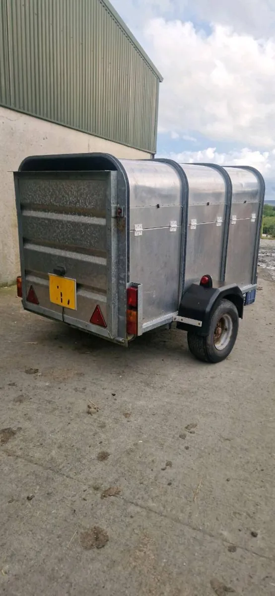 6X4 Sheep/Calf Trailer - Image 4
