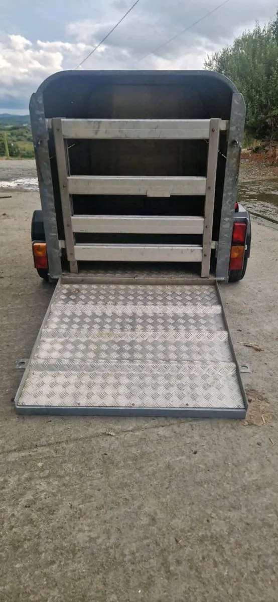 6X4 Sheep/Calf Trailer - Image 2