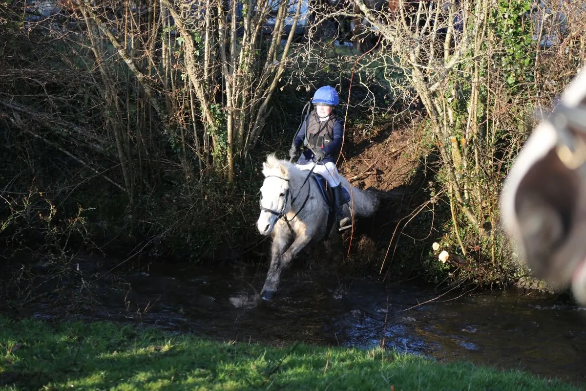 Pony Beginner - Image 2