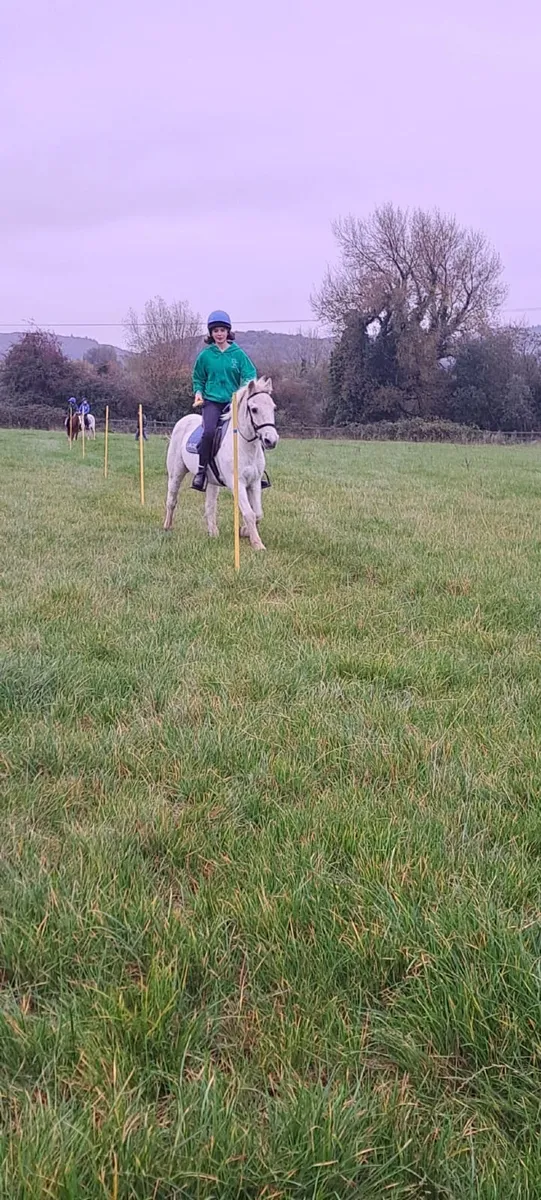 Pony Beginner - Image 1
