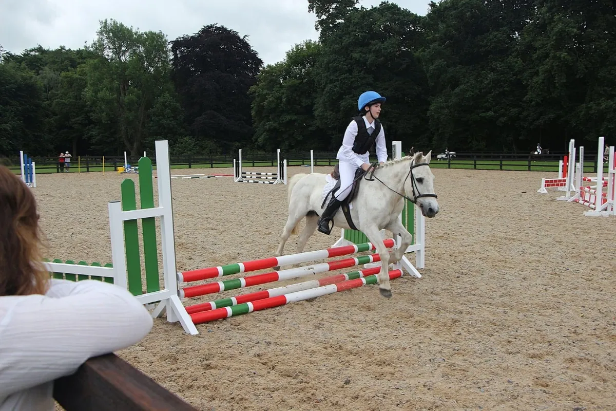 Pony Beginner - Image 4