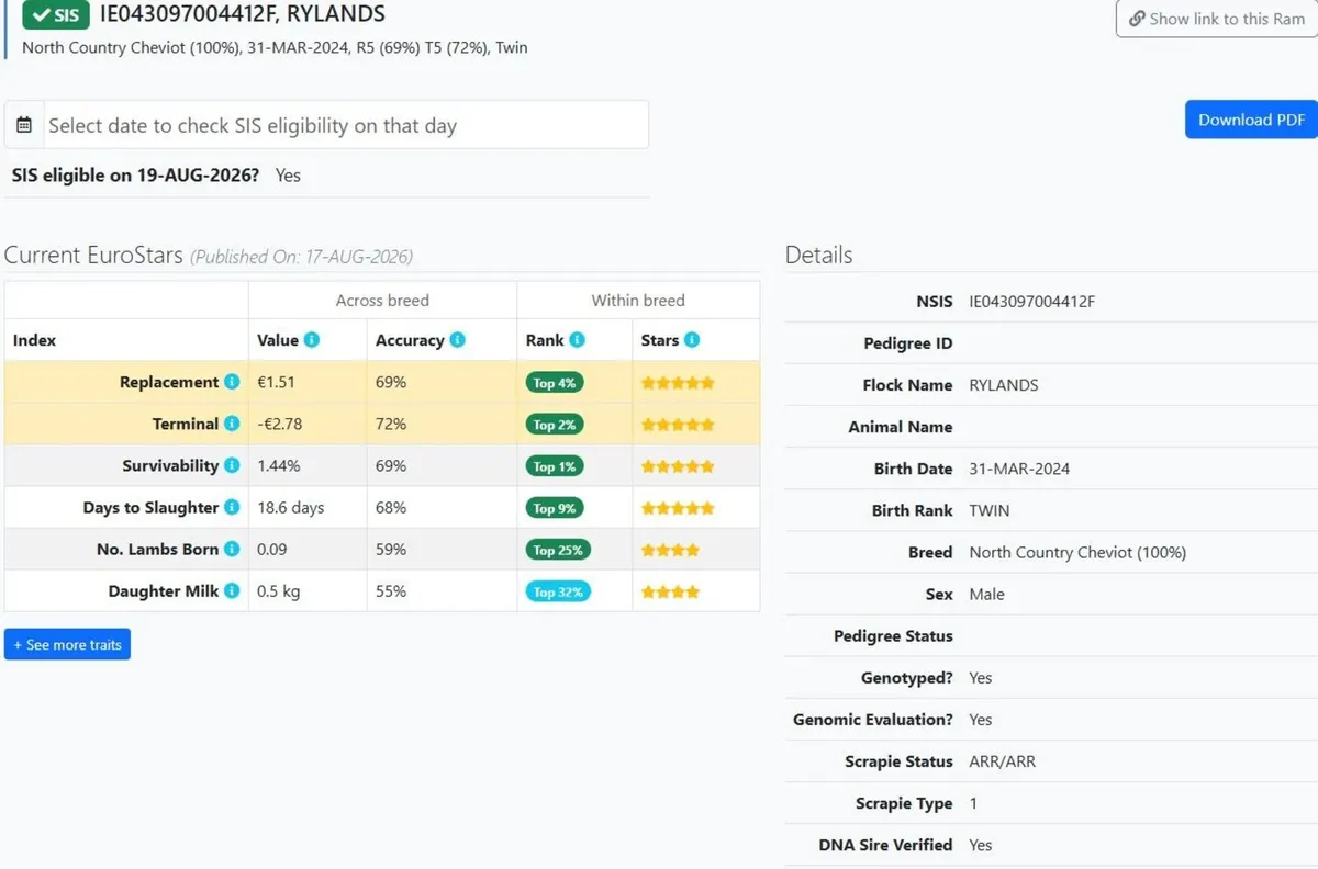 Rams - Image 2