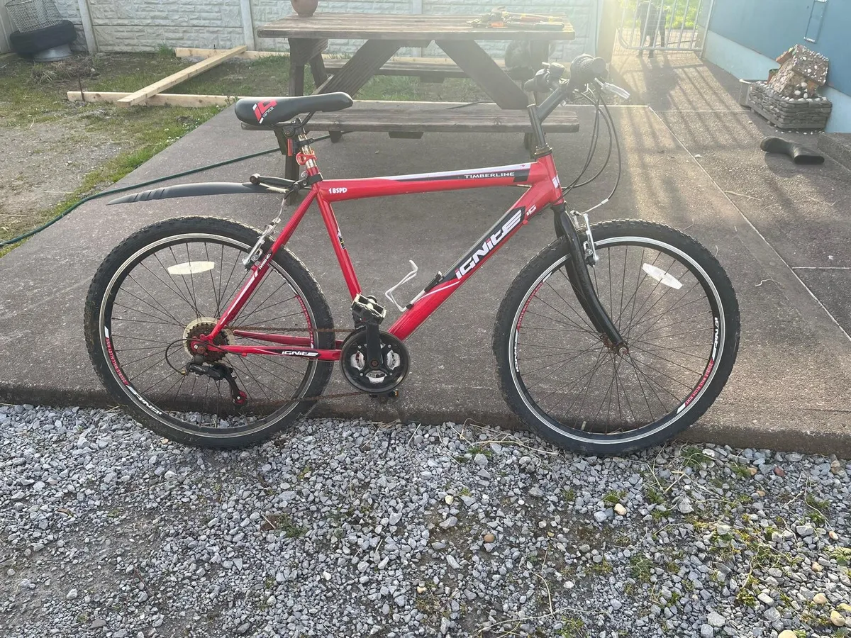 2 bicycles - Image 1
