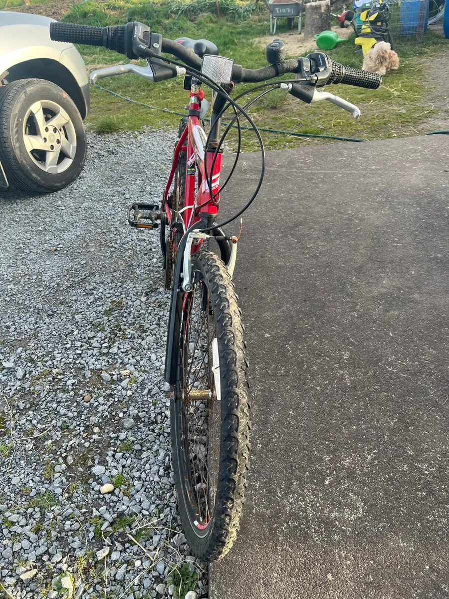 2 bicycles - Image 2