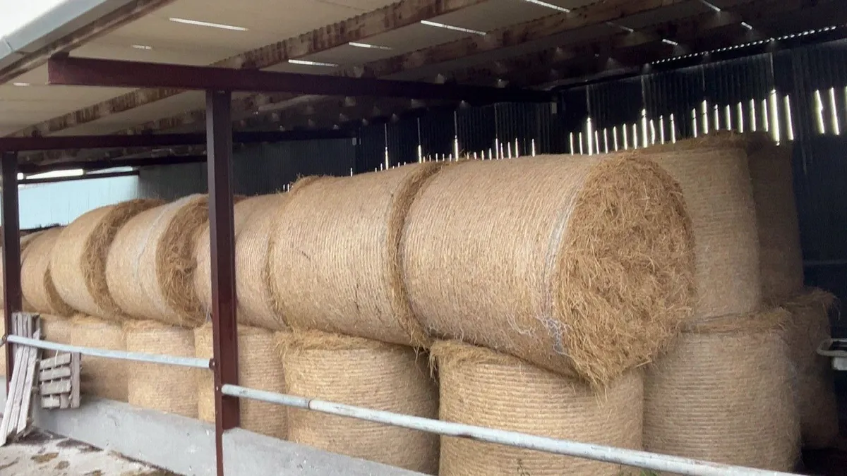 TOP QUALITY Hay For sale - Image 1