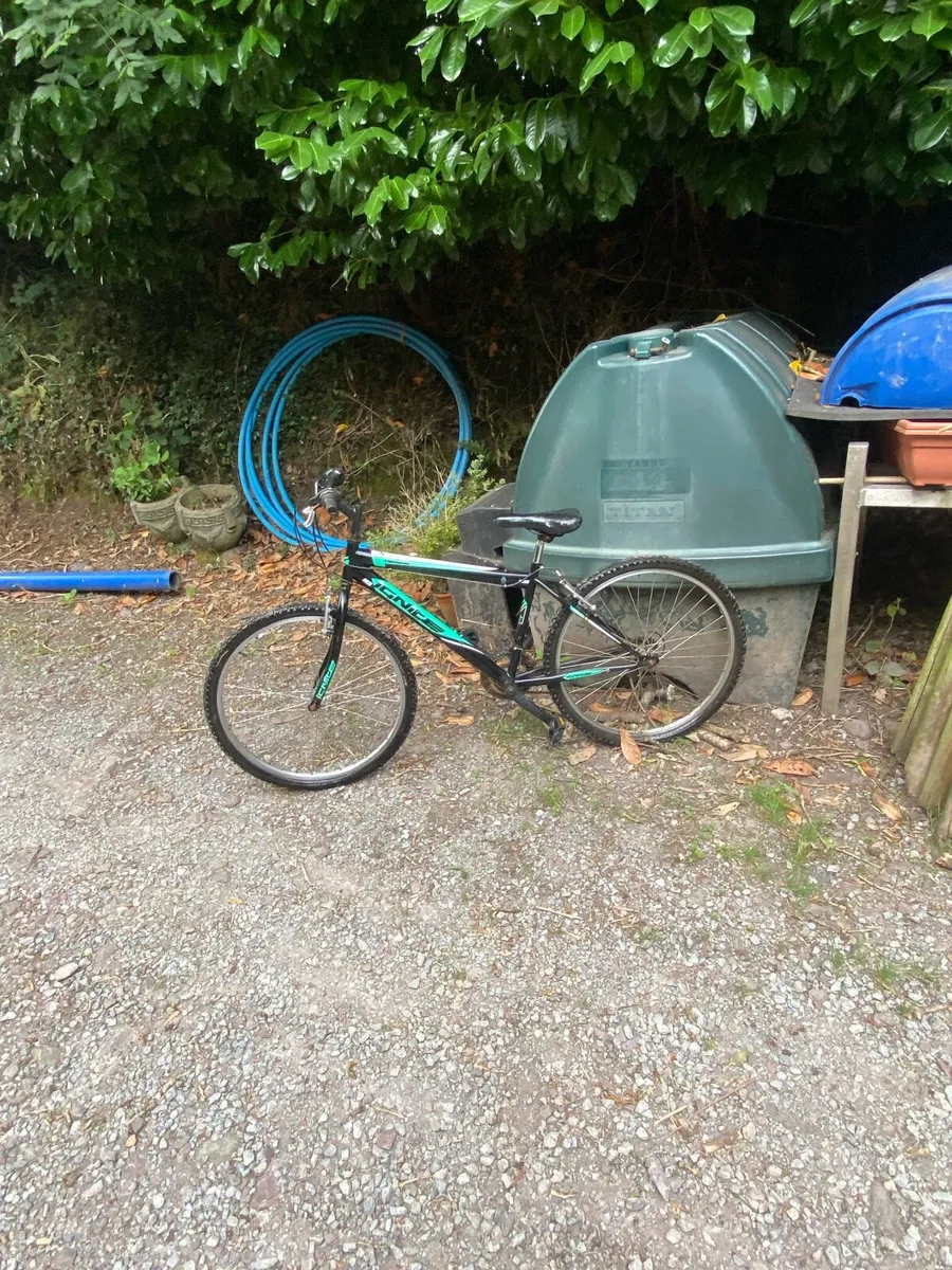 Bike - Image 1