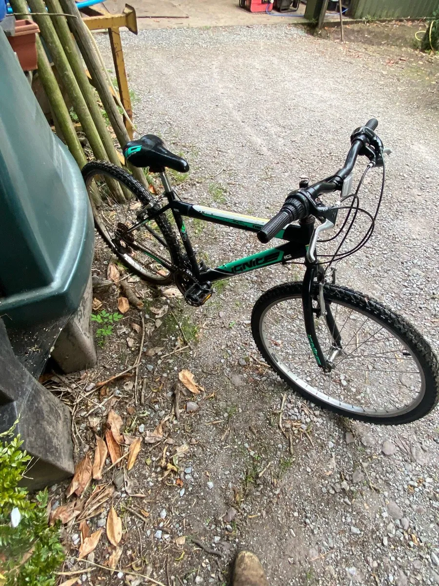 Bike - Image 2