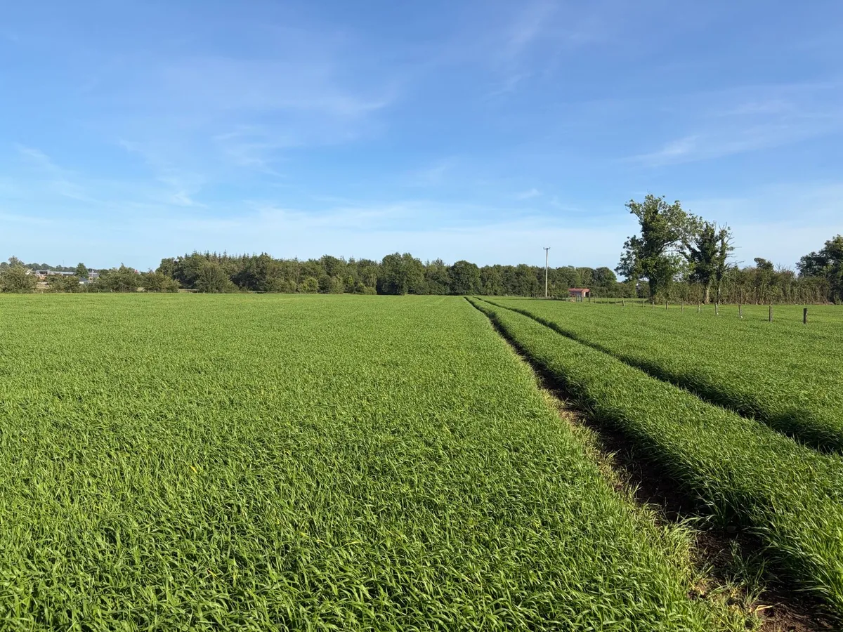 Land wanted for tillage