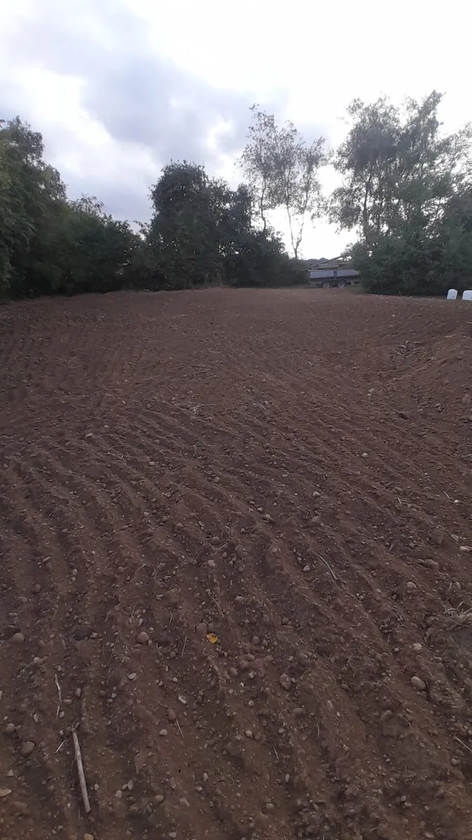 Mini digger and driver hire - Image 3