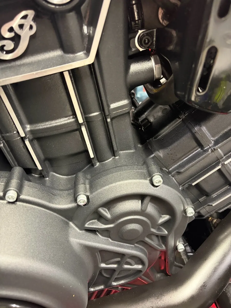 Indian scout - Image 2