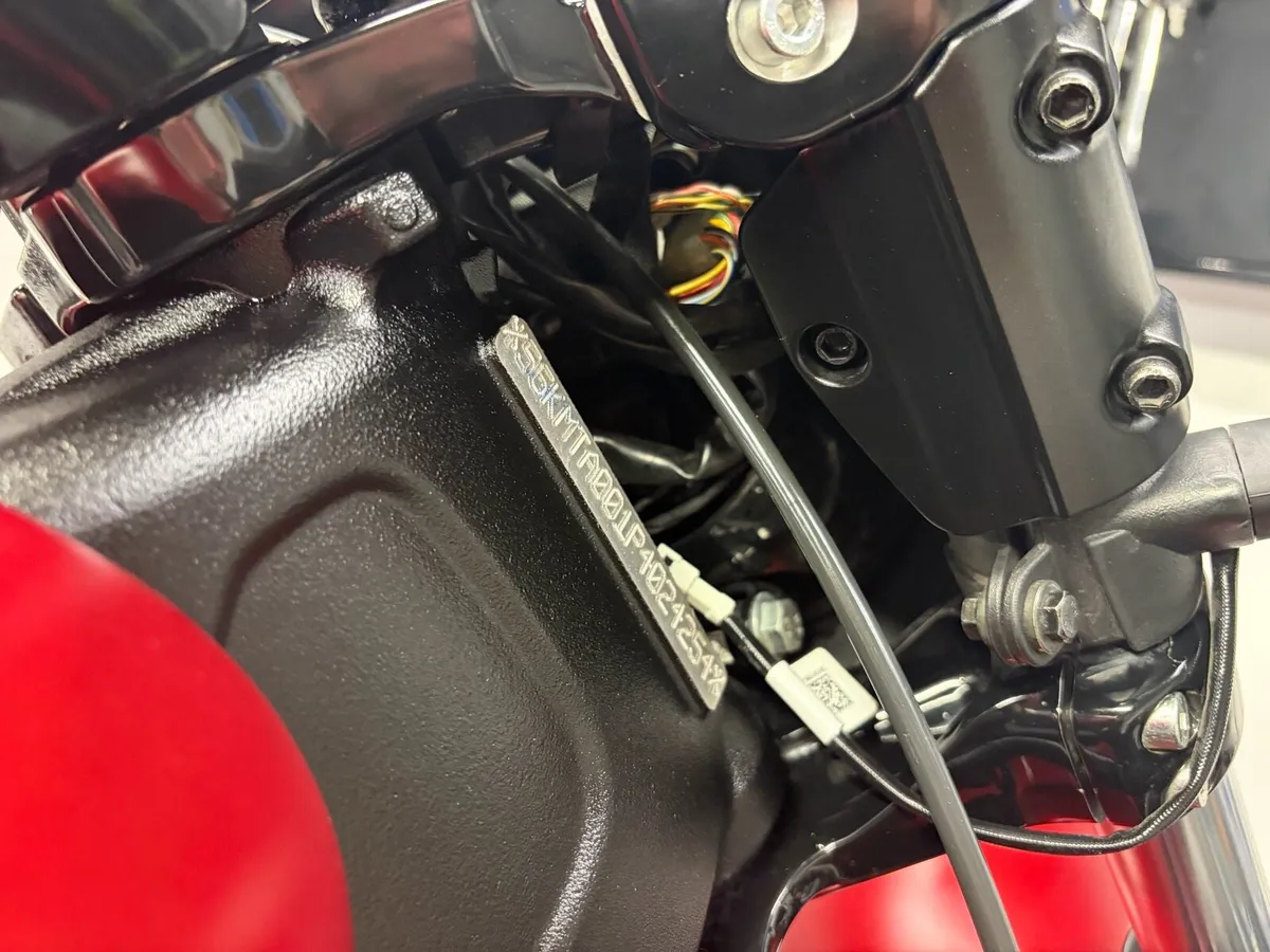 Indian scout - Image 4